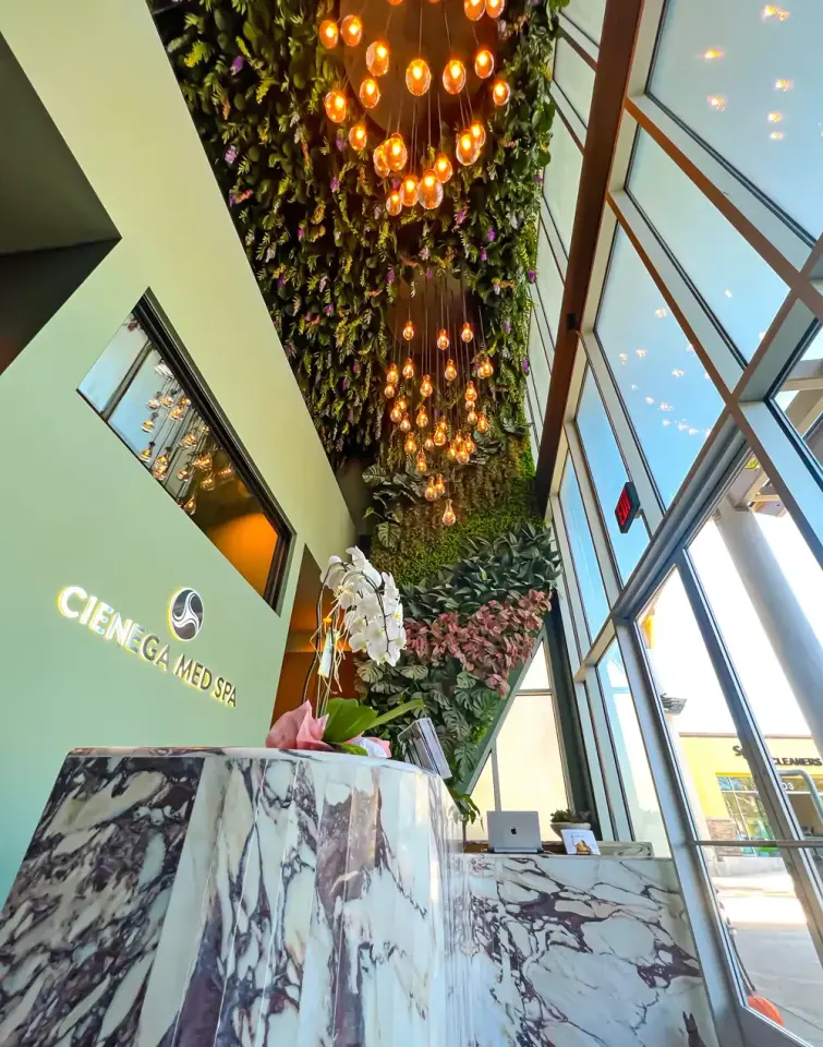 Cienega Medical Calabasas reception pictured on the official branch page